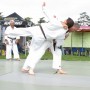 dojo-beutrois_2011-09-10_11-19-03_forum-des-associations