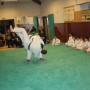 2013 Rois du DOJO BEUTROIS_16