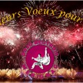 Voeux 2016