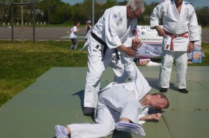 28jujitsu