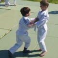 judo