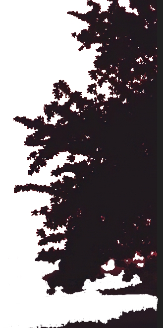 Une image contenant texte, croquis, arbre, plante

Description g�n�r�e automatiquement